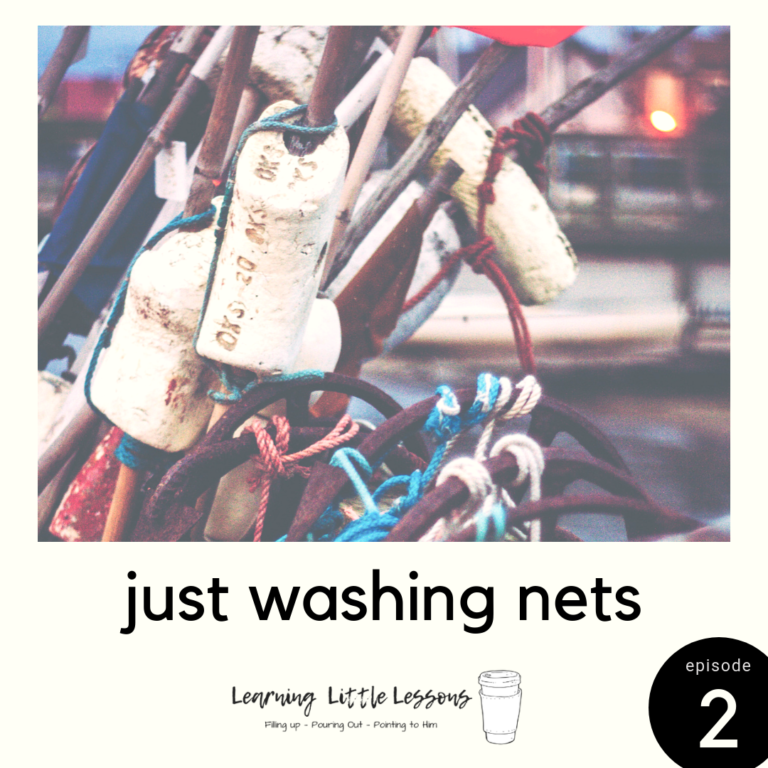 Just Washing Nets