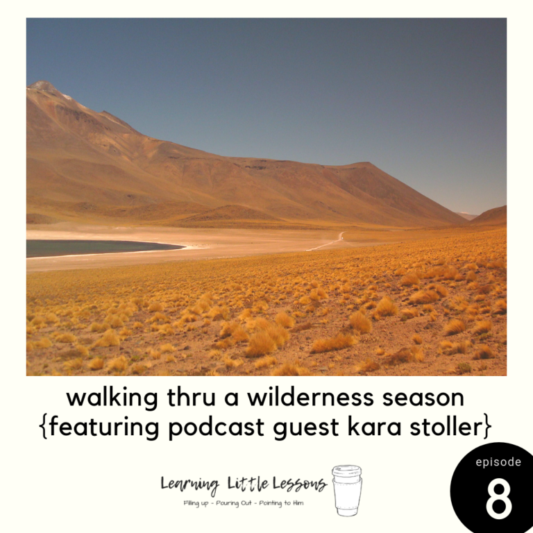 Walking thru a Wilderness Season – with podcast guest Kara Stoller