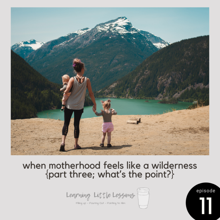 When Motherhood Feels Like a Wilderness; part three. “What’s the Point?”