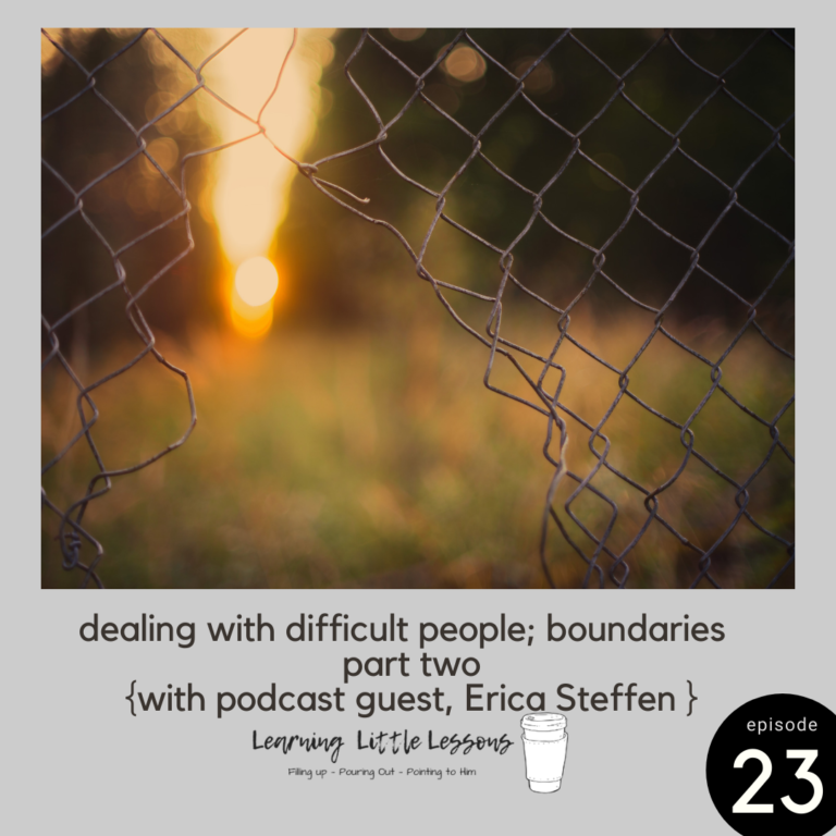 Boundaries; part two. With Podcast Guest Erica Steffen