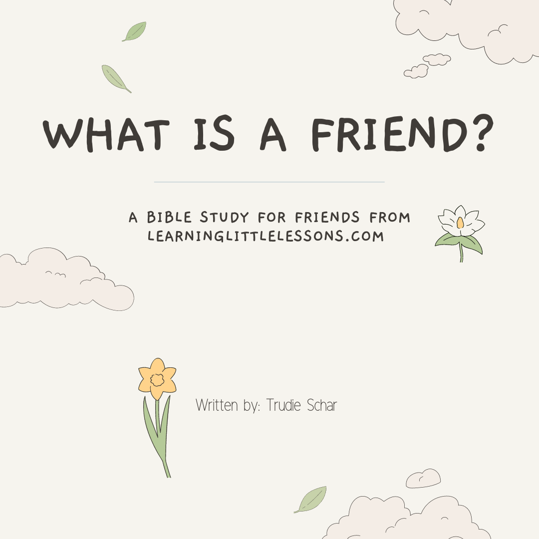 Friendship Study