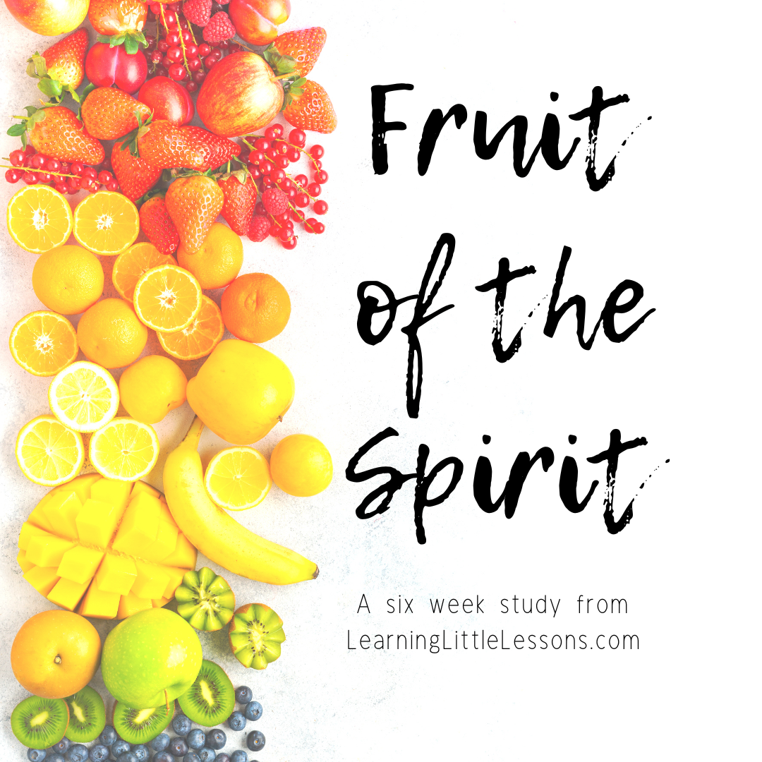 The Fruit of the Spirit  |  6 week study